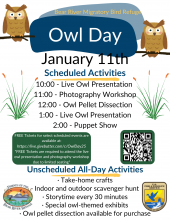 Owl Day